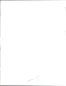 Russian constitutional crisis - Vintage Photograph