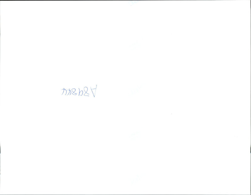 1994 SNOW SLEET AND FREEZING RAIN CONTINUED PET THE AREA TIM SHAFFER USA - Vintage Photograph