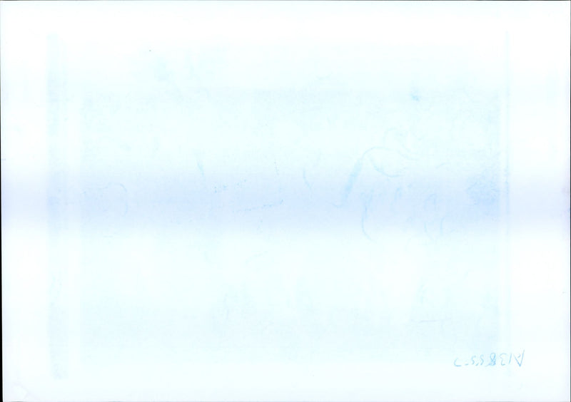 Axl W. Rose - Vintage Photograph