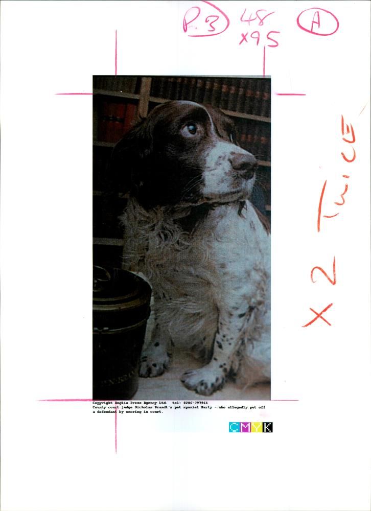 His. Hon. Judge. Paul Branot - Vintage Photograph