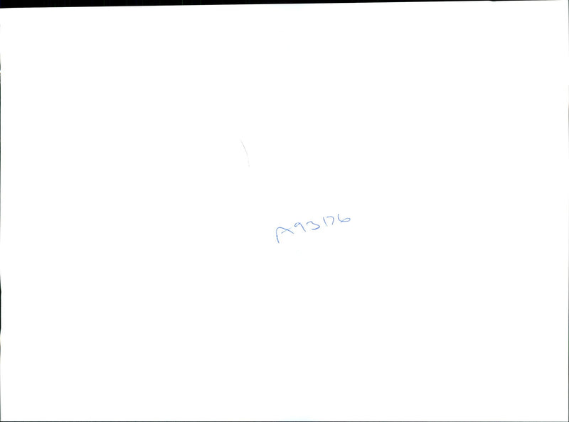 1995 PIC COLLECT VET TAKES BLOOD SAMPLES FROM YOUNC PEREGRINE FALCO POLICE - Vintage Photograph