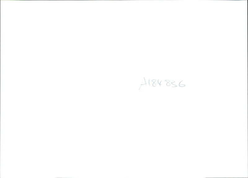 1994 SLAPTON LEY NATURE RESERVE DEVON POPULAR SPO MARC HILL - Vintage Photograph