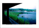 1994 SLAPTON LEY NATURE RESERVE DEVON POPULAR SPO MARC HILL - Vintage Photograph