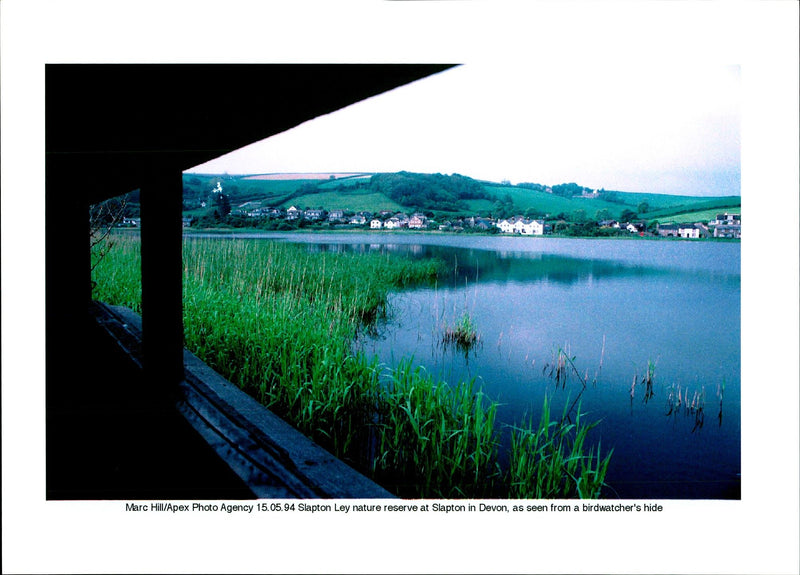 1994 SLAPTON LEY NATURE RESERVE DEVON POPULAR SPO MARC HILL - Vintage Photograph