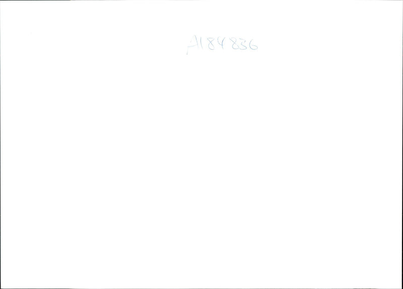 1994 THE SLAPTON LEY NATURE RESERVE DEVON ONE UKS MOST MARC HILL - Vintage Photograph