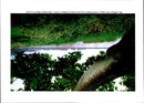 1994 SLAPTON LEY NATURE RESERVE DEVON ONE THE MARC HILL - Vintage Photograph