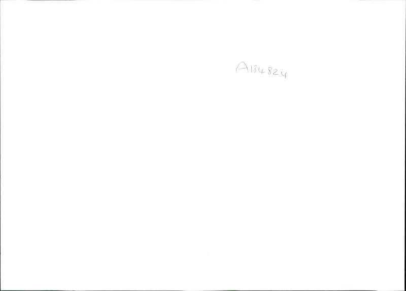 PROTESTS AND CLASHES CONTINUE THE TREE TOPS SITE LOCA - Vintage Photograph