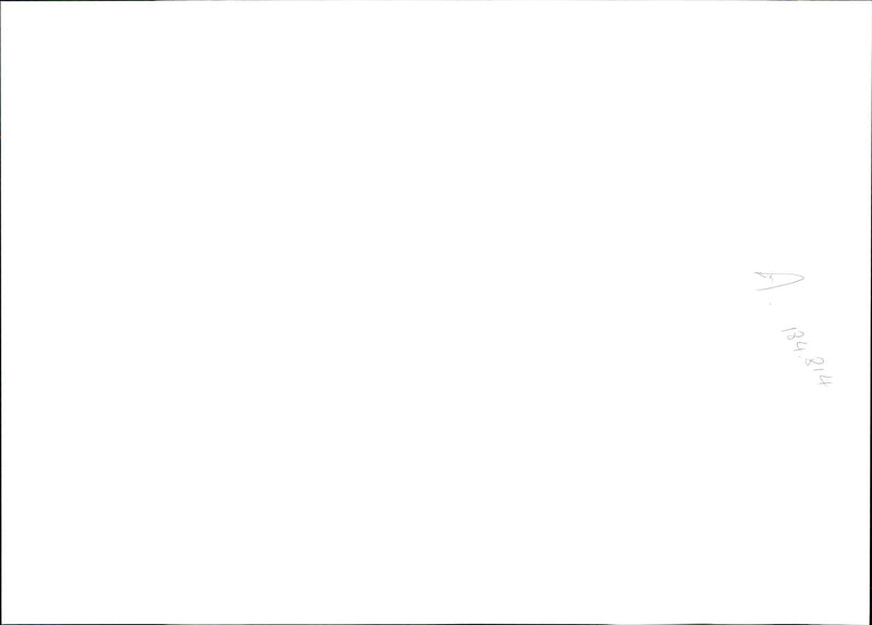 1995 MICHAEL ALLEN ACCUSED RAPING AND MURDERING YEAR CARA OLD BAILEY - Vintage Photograph