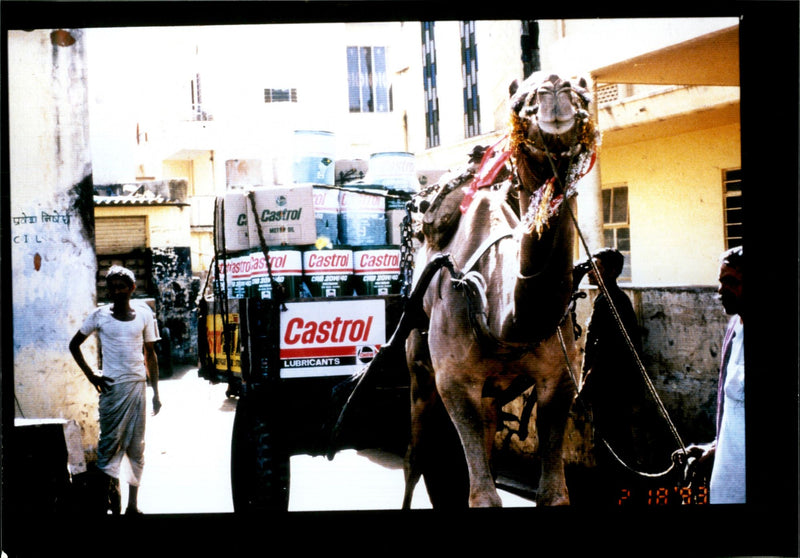 1919 CASTROL OIL WAS INTRODUCED JAIPUR THE BRAND PUBLISHED COUNTRY WORLD - Vintage Photograph