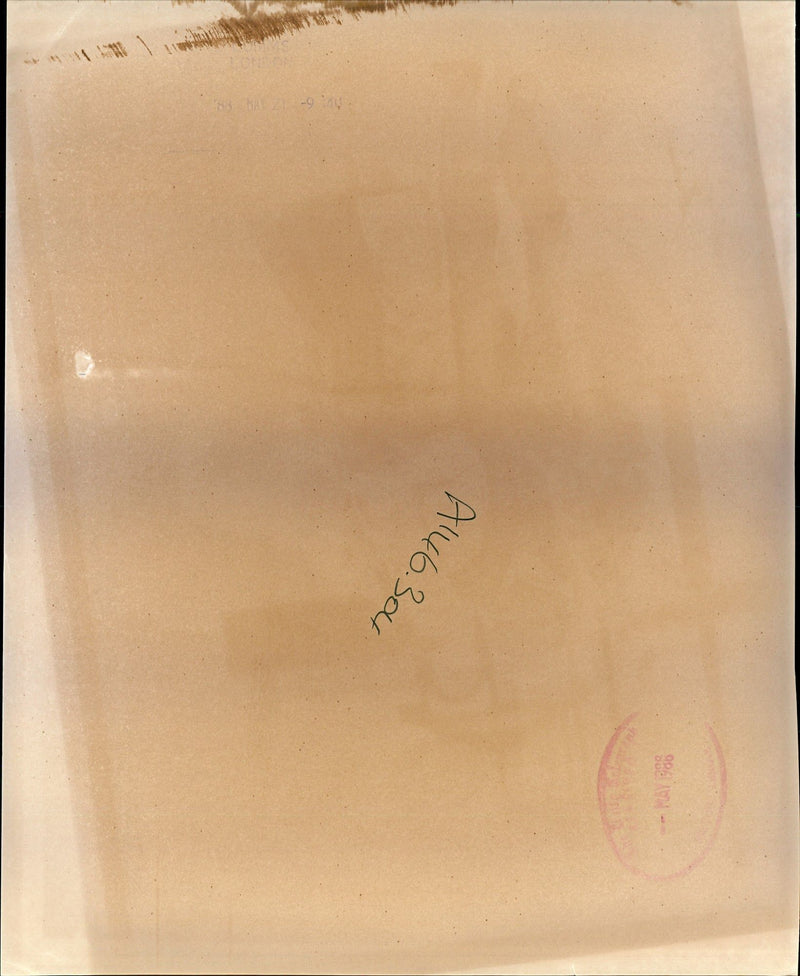 1988 MATHILD DANYI REFUSED BOARD PLANE TACK HUNGARY MAY AFTER MUSICIAN - Vintage Photograph