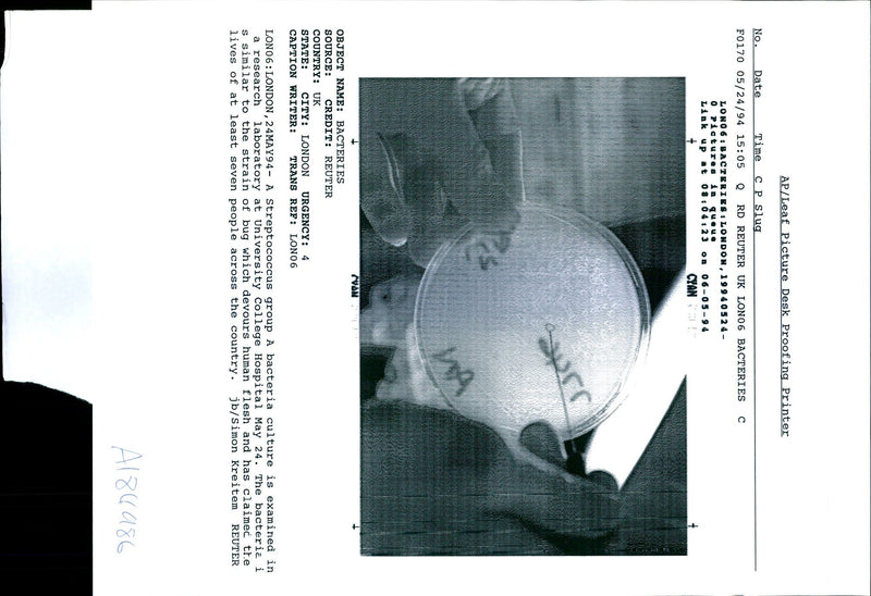 1994 LONO BACTERIES LONDON PICTURES QUEUE LINK SIMON KREITEM WRITER COUNTRY - Vintage Photograph