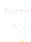 S. African Humming Bird - Vintage Photograph