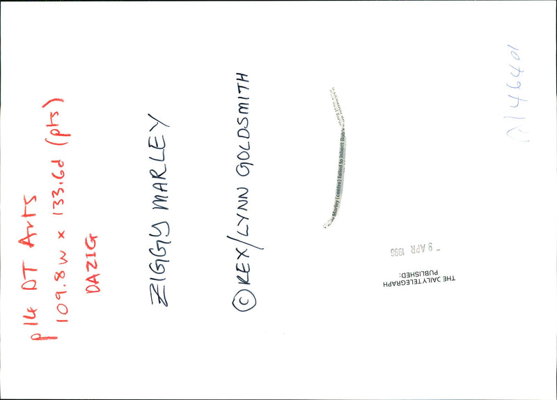 Ziggy Marley - Vintage Photograph