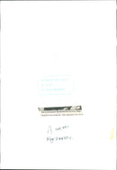 Ziggy Marley - Vintage Photograph