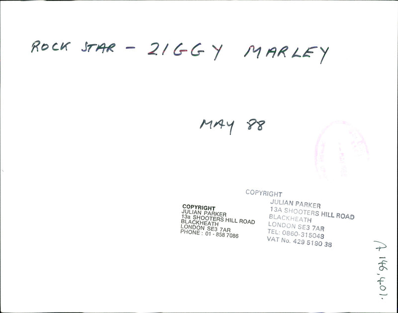 Ziggy Marley - Vintage Photograph