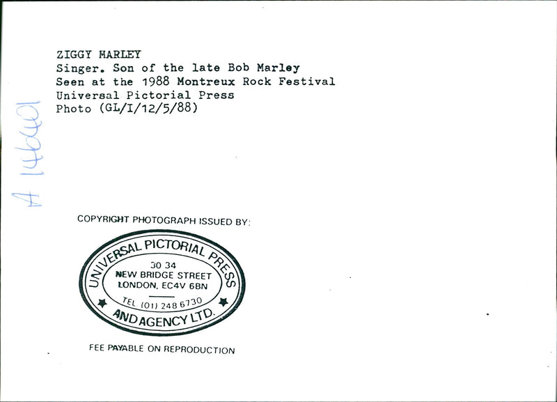 Ziggy Marley - Vintage Photograph