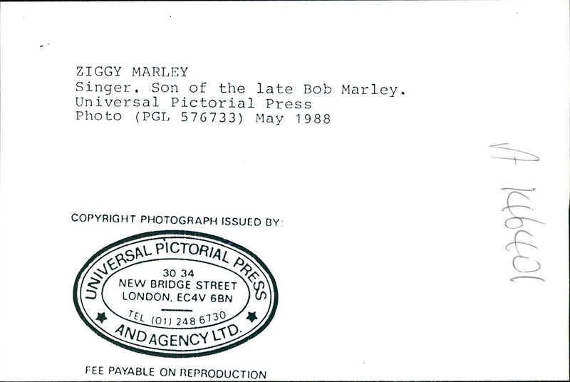 Ziggy Marley - Vintage Photograph