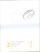 RAF:ZOZ Squadron - Vintage Photograph