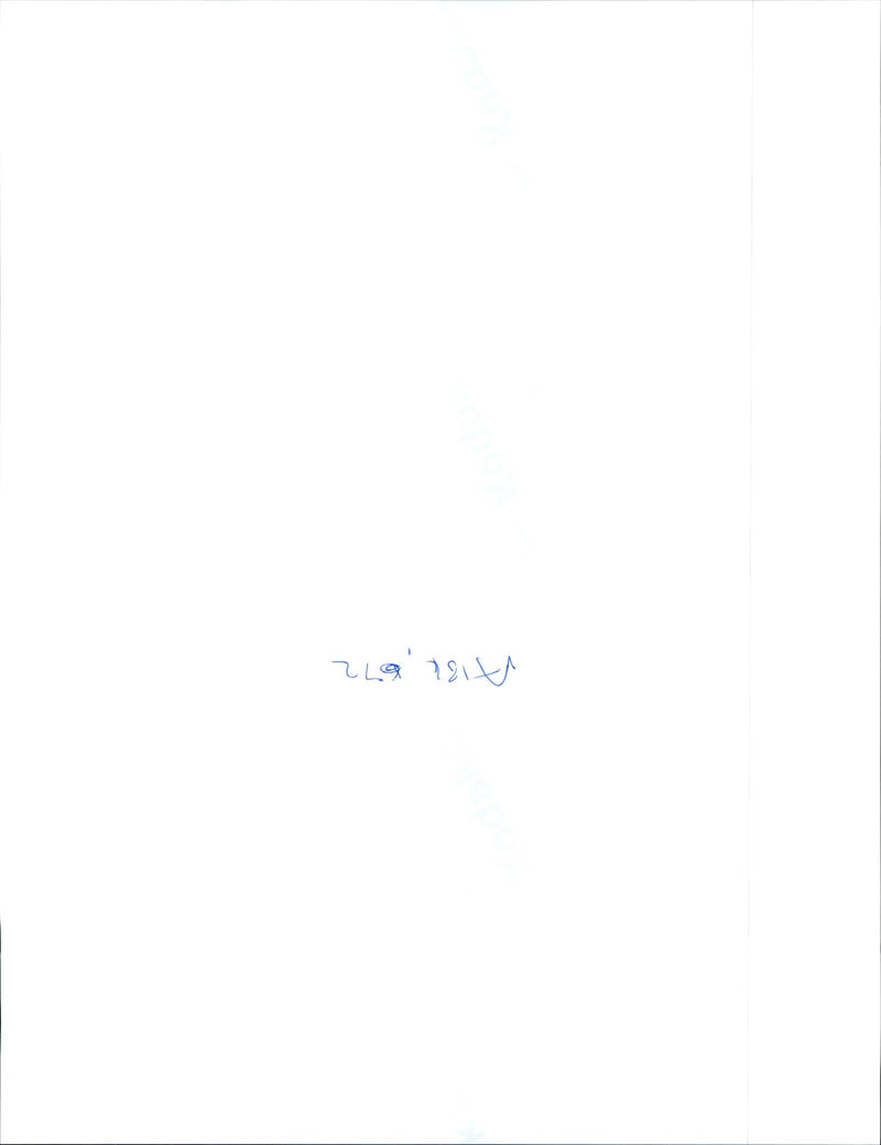 1995 NEWCASTLE PIC COLLECT LESLIE WINDER MURDERED WHILE LOOKING AFTER HIS DAU - Vintage Photograph