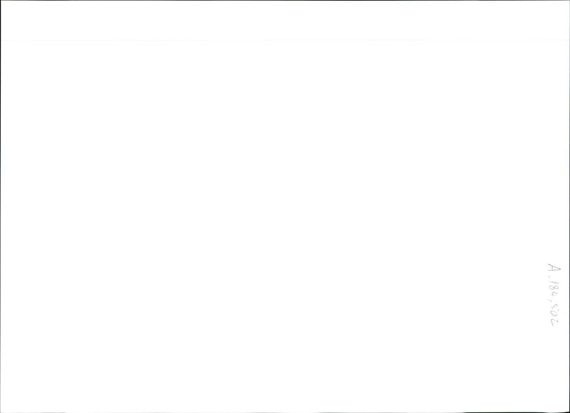 MAN WAS SHOT DEAD AND ANOTHER INJURED POOL BLOOD MANCHES - Vintage Photograph