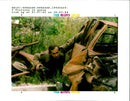 1994 BOSNIAN SERBS HALTED THEIR THREE WEEK ASSAU NICK ROGERS CAR WRITER COUNTRY - Vintage Photograph