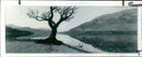 Scotland: Scottish Landscapes - Vintage Photograph