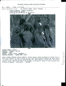 War in Yemen - Vintage Photograph