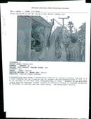 Gaza-Jericho Deal - Vintage Photograph