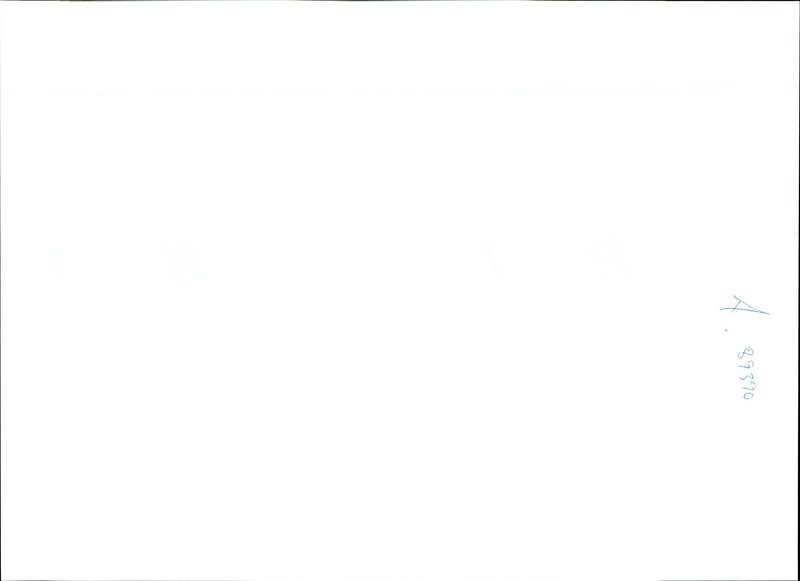 WILSON MURDER DRIFFIE PAUL ARMIGER MARTIN MIDGLEY NONEPAIN STEVE KELLY - Vintage Photograph