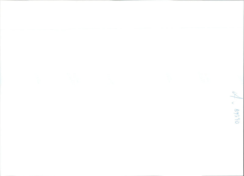 WILSON MURDER DRIFFIELD PAUL ARMIGER NIGEL LING PIC STEVE KELLY JOHN - Vintage Photograph