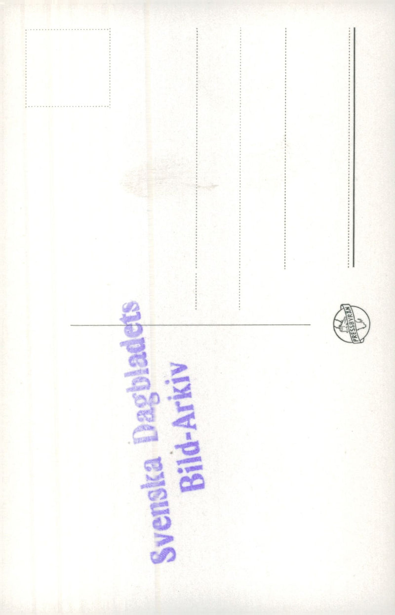 central park - Vintage Photograph