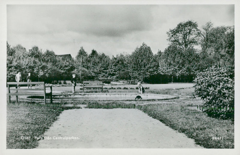central park - Vintage Photograph