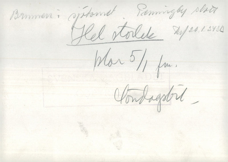 The well in the lake tower Penningby castle - Vintage Photograph