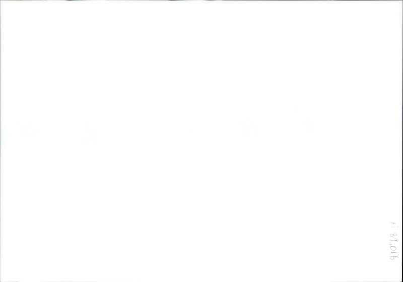 CROWD ATTENDED THE CONCERT WAS FROM ALL WALKS LIFE CONCE - Vintage Photograph