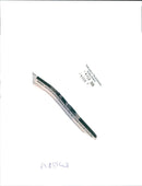 Pamela Kane - Vintage Photograph