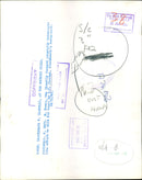 David T. Stevens - Vintage Photograph