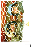 1994 BOSNIAN PRESIDENT IZETBEGOVIC PROMISED OFFICI TITLE WRITER FRENCH ARMY - Vintage Photograph