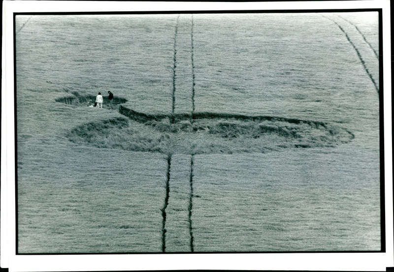 Crop circle - Vintage Photograph