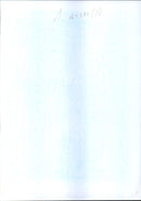 Canadian U.N. Special liasion officer Dion - Vintage Photograph