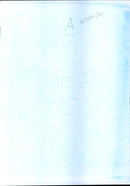 French soldiers - Vintage Photograph