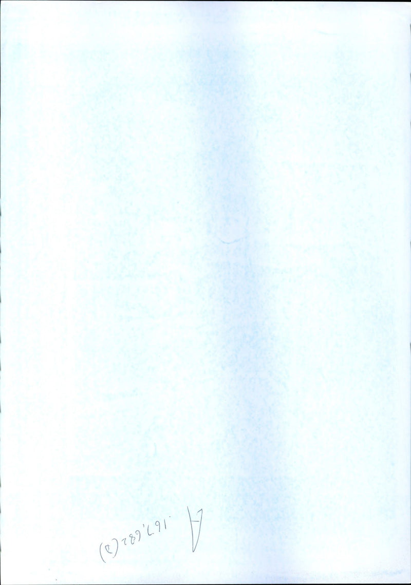 French soldiers - Vintage Photograph