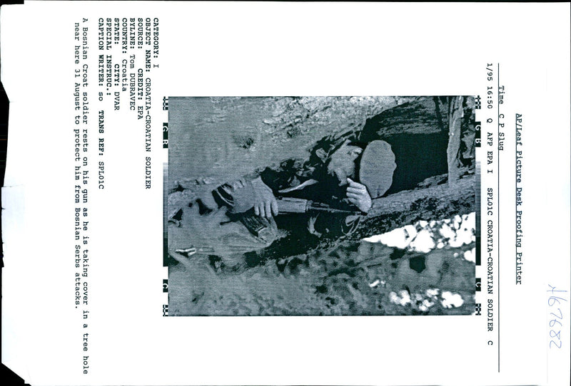 1995 BOSNIAN CROAT SOLDIER TAKES COVER TREE HOLE NEAR TOM WRITER COUNTRY - Vintage Photograph