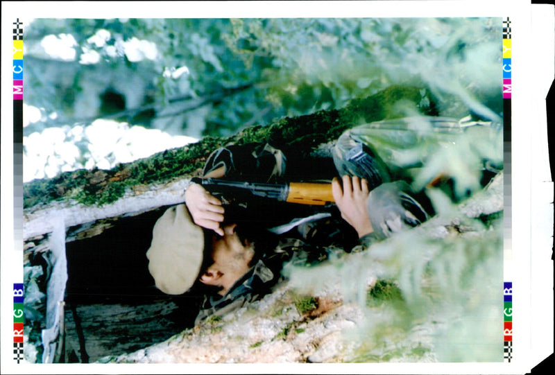 1995 BOSNIAN CROAT SOLDIER TAKES COVER TREE HOLE NEAR TOM WRITER COUNTRY - Vintage Photograph