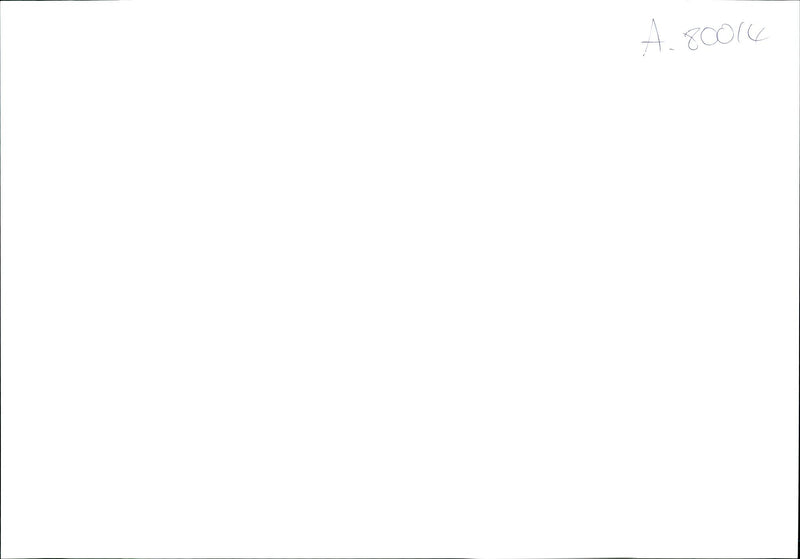 1995 THE MERCURY CONTINUES SOAR WELL ABOVE DEGRESS CELSIUS NEW DEL AIR DIED - Vintage Photograph