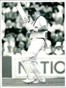 Phil Robinson - Vintage Photograph