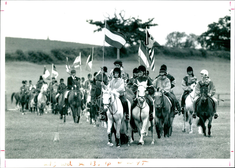 VIN ANIMAL HONSO POWY DUWA - Vintage Photograph