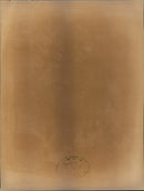 South Africa Demonstration - Vintage Photograph