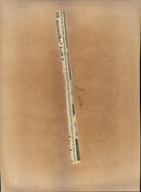 South Africa Demonstration - Vintage Photograph