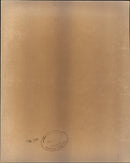 South Africa Demonstration - Vintage Photograph