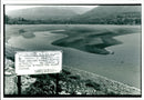 Talybont Reservoir - Vintage Photograph